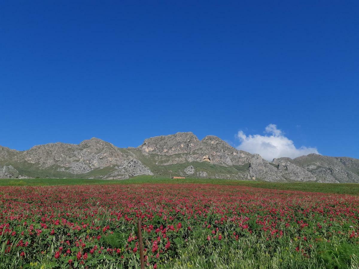 Crapa Licca Villa Ventimiglia di Sicilia Luaran gambar