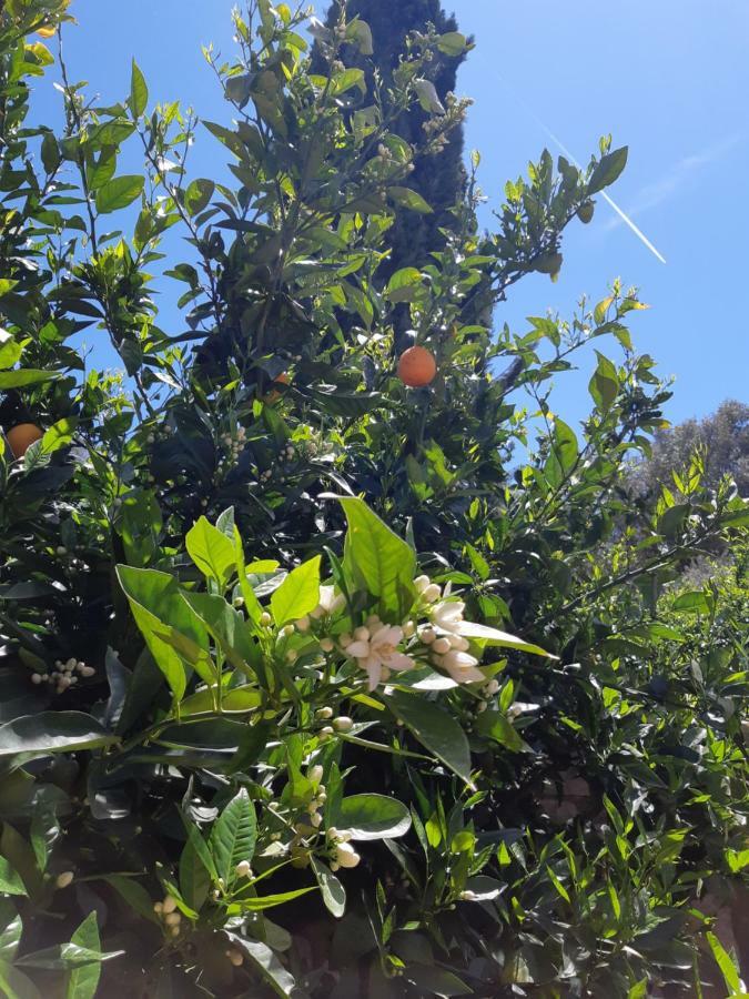 Crapa Licca Villa Ventimiglia di Sicilia Luaran gambar
